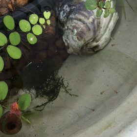 あわわわわ！！ごめんなさい！！泣の画像