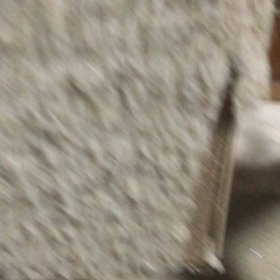 我が家の猫ときたら〜の画像