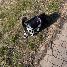 2022年1月16日　お散歩日和の画像