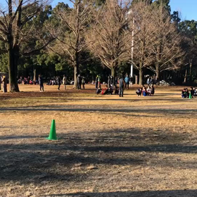 低学年リレー③の画像