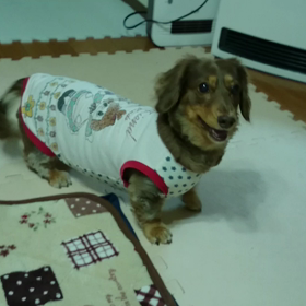 おもちゃＶＳれもんの画像