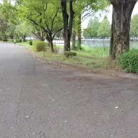 ミニ駅伝（中間点付近）⑩の画像