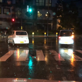 2/11雨降りですの画像