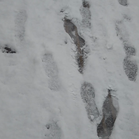 一時間待ちです。の画像