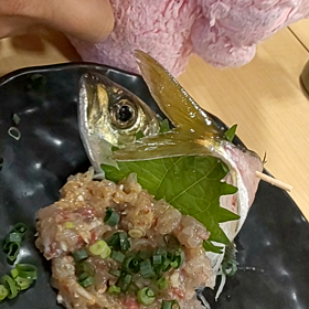 ウ～サ、活魚！の画像