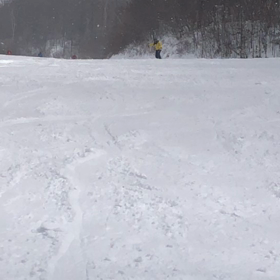 すっぽ抜け…と…ピンぼけ…の画像