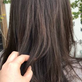 動くグレーパールの画像