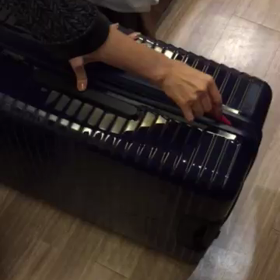 到着！そして解体ショーの画像