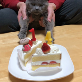 ぷみちゃんfourteenの画像