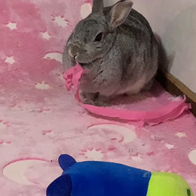 JOP大会☆の画像