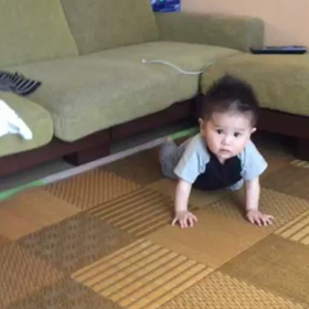ずり這い♪動画の画像