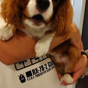 そら君 行かないでェーの画像