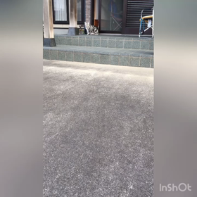 動かないタマと嬉しいわたしの画像