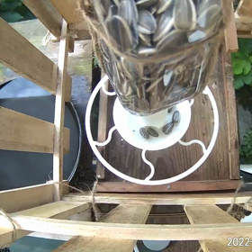 すぎぴたんの事件簿シーズン3　10話（ツンツン！ヤマガラ）の画像