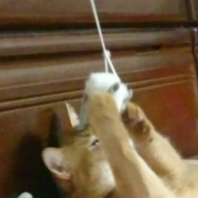 一人遊び～の画像