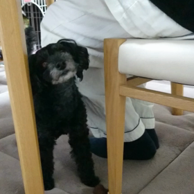 ツンツンの画像