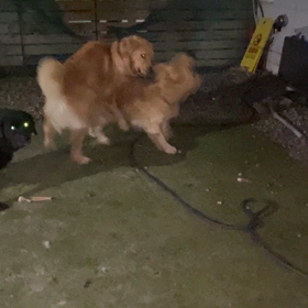 2023年3月28日の画像