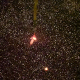 家族で花火の画像