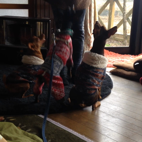 スター☆お宅訪問(^-^)/  ②の画像