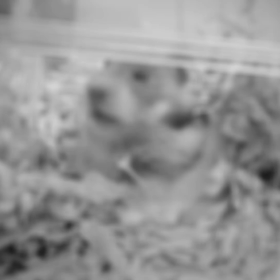 どかーん☆の画像