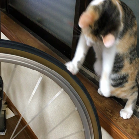 車輪回しの画像