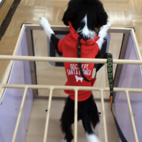 ■カート■の画像