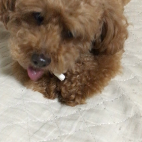 初めまして♪♪♪の画像