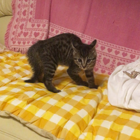 夜はお化けに変身⁉️の画像