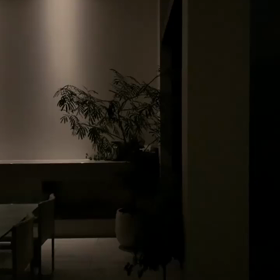 今年も咲いてくれましたの画像