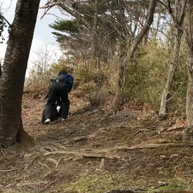 バズ救助犬の画像