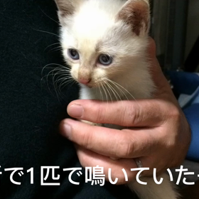 懐かしい写真の画像