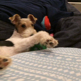 お尻が可愛い〜♪の画像