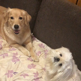 お疲れ〜の画像