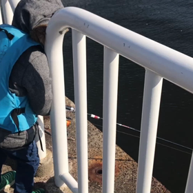 初南港魚釣り園の画像