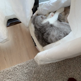 １月スケジュール。の画像