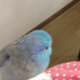 ウトウトhappyの画像