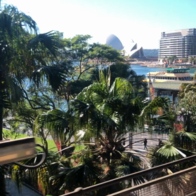 久しぶりのシティーの画像