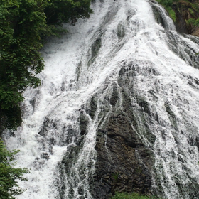心がゆるみ、軽くなるネガティブ浄化動画の画像