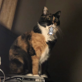 ポンコツの画像