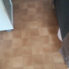 ぐーたら犬の画像