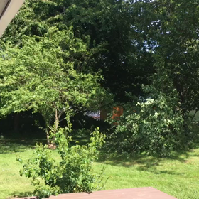 やっと再開(^^;)の画像