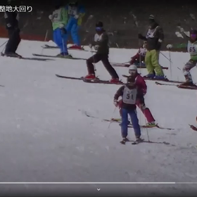 当たり障りなく・・・の画像