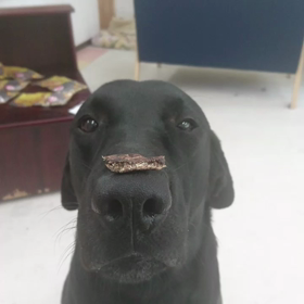 鼻パクパク～の画像