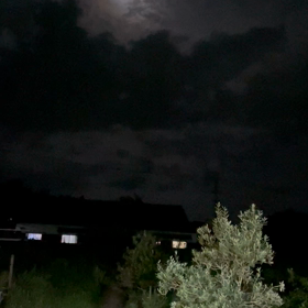 コウロギの合唱の画像