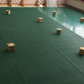 モカとはるの、最近のようすだよ！の画像