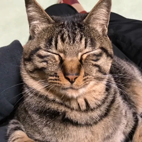 今日のだいちゃんの画像