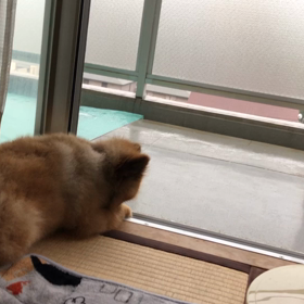 雨☔凄いねの画像