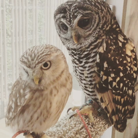 あっち行ってくれませんか？の画像