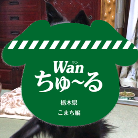 CM出演者募集の画像