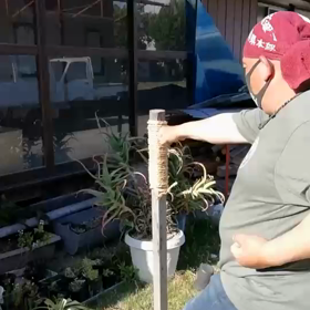 チャレンジ19弾（一巡目締めて頂きます！）の画像